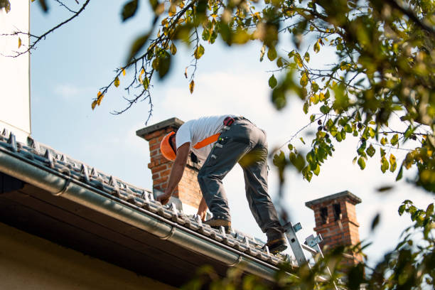 Best Rubber Roofing (EPDM, TPO)  in Jerseyvle, IL